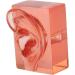 Buy Right Ear Imaging Model - Waterproof Acrylic Ear Model for Education | International Shipping Available - Buy Online on GoSupps.com