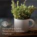 Thyme Tea Cut 300g | 100% Pure & Natural | Monte Nativo | Aromatic Herb for Cooking & Tea | Ideal Spice Mixture Gift - Buy Online on GoSupps.com