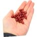 4pcs Artificial Red Beans Photography Props Realistic Red Beans Realistic Faux Beans Simulation Beans Fake Cherries Fake Strawberries Artificial Beans Model Fake Beans Nut Food Pvc Redx4pcs 1x0.6cmx4pcs - Buy Online on GoSupps.com