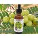 Nature's Cosmetics Indian Amla Oil - 2 fl oz | Nourish Scalp, Condition Hair for Strength and Shine - Buy Online on GoSupps.com