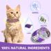 Calming Collar for Cats - Anxiety Relief and Natural Calm Treatment - Adjustable, Waterproof, Pheromone-Infused - 2 Pcs Purple - 60 Day Supply - for Kittens and Medium to Large Cats - Buy Online on GoSupps.com