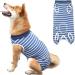 WPCASE DOG Recovery Suit - Professional Surgical Wear for Dogs | Alternative to E-Collar | Blue Size L - Buy Online on GoSupps.com