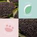 Sunday Rain Charcoal Exfoliating Scrub Away Cubes - 5.29 oz (150g) for Radiant Skin - Buy Online on GoSupps.com