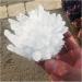 Natural Crystal Cluster White Specimen Ore Quartz Reiki Stone Ra Crystal Home Decor Full of Texture (Size : 300-400g) - Buy Online on GoSupps.com