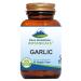 Garlic Pills - Kosher Vegan Capsules with 500mg Organic Garlic Allium Sativum Supplement