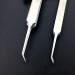Buy LongyiTrade Professional Stainless Steel Curved Acne Tweezers | Best Blackhead & Pimple Tool for Clear Skin International Shipping Available - Buy Online on GoSupps.com