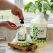 Miniml Cucumber & Aloe Vera Hand Soap Wash Liquid 5L Refill - Gentle Skin & Body Wash Gel - Vegan & Cruelty Free - Buy Online on GoSupps.com