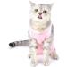 Ranphy Cat Recovery Suit for Abdominal Wounds or Skin Diseases Soft Cotton Surgical Recovery Shirt Breathable E-Collar Alternative After Surgery Home Indoor Anti Licking Clothes Pink M M(Chest:34cm Back:25cm Neck:24cm) pink - Buy Online on GoSupps.com
