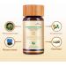 Arthrosolve Supplement - 100% Vegan Joint Health Support with Guggul Dashmool Zingiber & Boswellia - 80 Capsules for Men & Women - International Shipping Available - Buy Online on GoSupps.com
