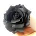 VEICOSTT Women Black Rose Flower Hair Clip & Brooch Pin - ZFJ11 | Hair Accessories - Buy Online on GoSupps.com