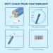 Sonic Electric Toothbrush for Adults - Rechargeable with LED Indicator, 2 Mins Timer, 5 Modes, 4 Brush Heads - Blue - Ideal for Men, Women, Couples - Wall-Mount Holder Included - Buy Online on GoSupps.com