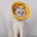 Cone for Cats Soft Pet Cones for Cats with Cute Animal Pattern | Cat Donut for Kittens Cats and Dogs to Prevent Biting and Stop Licking Wound Dyog Cute Pet Duck S - Buy Online on GoSupps.com