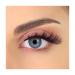 Pinky Goat Lulu Lightweight False Eyelashes - Natural Look | 1 Pair - Buy Online on GoSupps.com