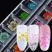 CHANGAR 3D Nail Dried Flowers Sticker Set - Real Five Petal Flower & Leaf Gypsophila Dry Flower Nail Art Decoration Kits (2 Boxes) - Buy Online on GoSupps.com