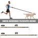 SLGOL 4-5FT Emergency Auto Unlock Dog Leash | Heavy Duty Elastic Bungee Leash with Seatbelt | Shock-Absorbing & Padded Handle | Ideal for Training | Khaki - Buy Online on GoSupps.com