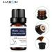 Care Thin Oil Nose Lift Shampoo 10ml - Non-Drilling Multicolor - Beauty Treatment for a Stunning Nose | International Shipping - Buy Online on GoSupps.com