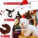 Christmas Pet Headband - Adjustable Reindeer Antlers & Moose Costume for Dogs & Cats | Perfect Holiday Gift Outfit - Buy Online on GoSupps.com