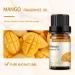 Mango Fruit Fragrance Oil 10ml | Essential Oil for Diffusers & Humidifiers - Premium Quality - Buy Online on GoSupps.com