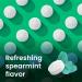 Neuro Energy & Focus Mints - Sugar Free Breath Mints with 40mg Natural Caffeine B Vitamins & L-Theanine - Vegan Brain Supplement for Exercise Study & Daily Focus - Spearmint 90 ct 90 Count (Pack of 1) Spearmint - Buy Online on GoSupps.com