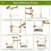 Olpchee Bird Playground Parrot Playstand with Feeder Cups, Toys, and Tray - Wooden Perch Gym for Cockatiel, Parakeet - Buy Online on GoSupps.com