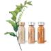 DM.Cell BB Meso Glow Color # 21 - Ampoules de 10x5ml pour micropoul es KOREA (10 pcs/ 1 pack) - Buy Online on GoSupps.com