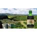 Apollo Organic Noni Juice by Morinda - Pure Noni Fruit Puree with Aloe Vera | All-Natural Daily Wellness Drink 30.5 fl oz - Buy Online on GoSupps.com