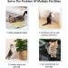 Segminismart Scratch-Resistant Spray - Anti-Scratch Protection for Cats & Dogs - 50ml | Safe for Furniture & Home - Buy Online on GoSupps.com