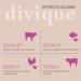 Divique Collagen and Hyaluronic Acid 270 Capsules - Multicollagen Type 1 2 3 5 10 - with Hyaluronic Acid Vitamin C Biotin and Selenium Zinc - Buy Online on GoSupps.com