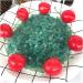 Stone Crafts Natural Apatite Crystal Gemstone Reiki Crystal Stone Specimen Natural Luster - Buy Online on GoSupps.com