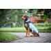 Wolters Easy Rain Jacket - Blue Rain Jacket for Dogs | Size 28 cm | International Shipping Available - Buy Online on GoSupps.com