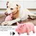 Buy Liebewh Squeaky Pig Dog Toy - Pink Latex Puppy Play Stuff for Dogs | Best International Shipping - Buy Online on GoSupps.com