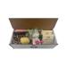 ModaMoo Day Spa Gift Box Set - Cucumber Melon & Asian Tea Blossom Soaps Jade Roller & Sea Sponge - Perfect Spa Gift for Any Occasion - Buy Online on GoSupps.com