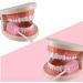 100 Pcs Disposable Mouth Swabs Sponge - Unflavored & Sterile Oral Care Swabs - Pink Tooth Shape - Buy Online on GoSupps.com