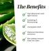Pure Aloe Vera Macerated Oil - Natural Body Face & Hair Moisturizer - 250 ml for Massage & Hydration - Buy Online on GoSupps.com