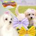 Pet Hair Clips 24PCS Cat Dog Hair Bows Clips Pet Cat Puppy Hair Accessories Dog Grooming Clips Metal Bow Knot Dots Pet Hair Clips Handmade Cute Patterns Topknot for Dog Cats Puppy - Buy Online on GoSupps.com