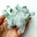257g Green Ghost Cluster Crystal Stone Clear Quartz Crystal Cluster Natural Specter Quartz Cluster Specimen - Stones - Full of Texture - Buy Online on GoSupps.com