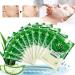 10 Pack Honey Moisture Facial Cloth Masks - Ultra-Thin Hydrating Beauty Tools for Glowing Skin - Buy Online on GoSupps.com