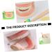 Shop Minkissy 2 Sets Early Dental Education Toys - Reusable Wooden Dentures for Kids | International Shipping Available - Buy Online on GoSupps.com
