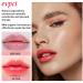 BINGBRUSH 2 Pcs Strawberry Color Changing Lipstick Set for Women - Long Lasting PH Mood Lip Stain Glossly Makeup - Moisturizing Lip Balm Tinted Magic - 2 Count Pack - Buy Online on GoSupps.com