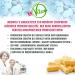 MeinVita Q10 Coenzyme 300mg - High Dose Vegan Capsules | 60 Count - Boost Energy & Support Health - Buy Online on GoSupps.com