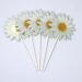 40 Pieces Sunflower Cupcake Toppers Daisy Cupcake Toppers Flower Cake Picks for Easter Spring Party Decor Baby Shower Dessert Supplies - Buy Online on GoSupps.com