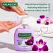 Palmolive Natural Liquid Hand Wash Black Orchid & milk 250ml - Buy Online on GoSupps.com