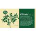 Buy Olivae Castile Bar Soap - 3 Bar Set | Natural & Eco-Friendly | International Shipping Available - Buy Online on GoSupps.com