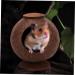 FOMIYES 2pcs Coconut Shell Charcoal Hamster Nest Small The Bed 16X15X15CMx2pcs Brownx2pcs - Buy Online on GoSupps.com