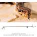 Snake Tongs Professional Collapsible Stainless Steel Reptile Grabber Rattle Snake Catcher with Self Lockable Handle Snake Grabber Wide Jaw Handling Tool for Snake Farmers - Buy Online on GoSupps.com