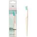 Buy TIO Replaceable Head Soft Toothbrush - Random Color Selection in Pink & Dark Green - Eco-Friendly & Affordable - Buy Online on GoSupps.com