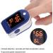 Ruiqas Fingertip Pulse Oximeter - Accurate SPO2 & Heart Rate Monitor for Home & Hospital Care - Buy Online on GoSupps.com