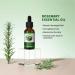 100% Pure Organic Rosemary Oil for Hair Growth & Skin Care - Natural Hair Oil - Buy Online on GoSupps.com