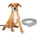Dewel 63.5cm Waterproof Tick Collar for Dogs & Cats | Effective Flea & Tick Prevention | Adjustable Neck Band - Buy Online on GoSupps.com