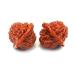 Togepp 2 pieces of walnut exercise balls acupuncture massage health handballs walnut massage ball Chinese handballs toys for hand therapy accessories